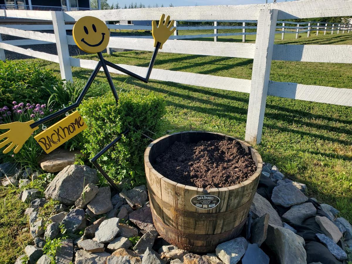 Membertou Back Home Bed And Breakfast المظهر الخارجي الصورة